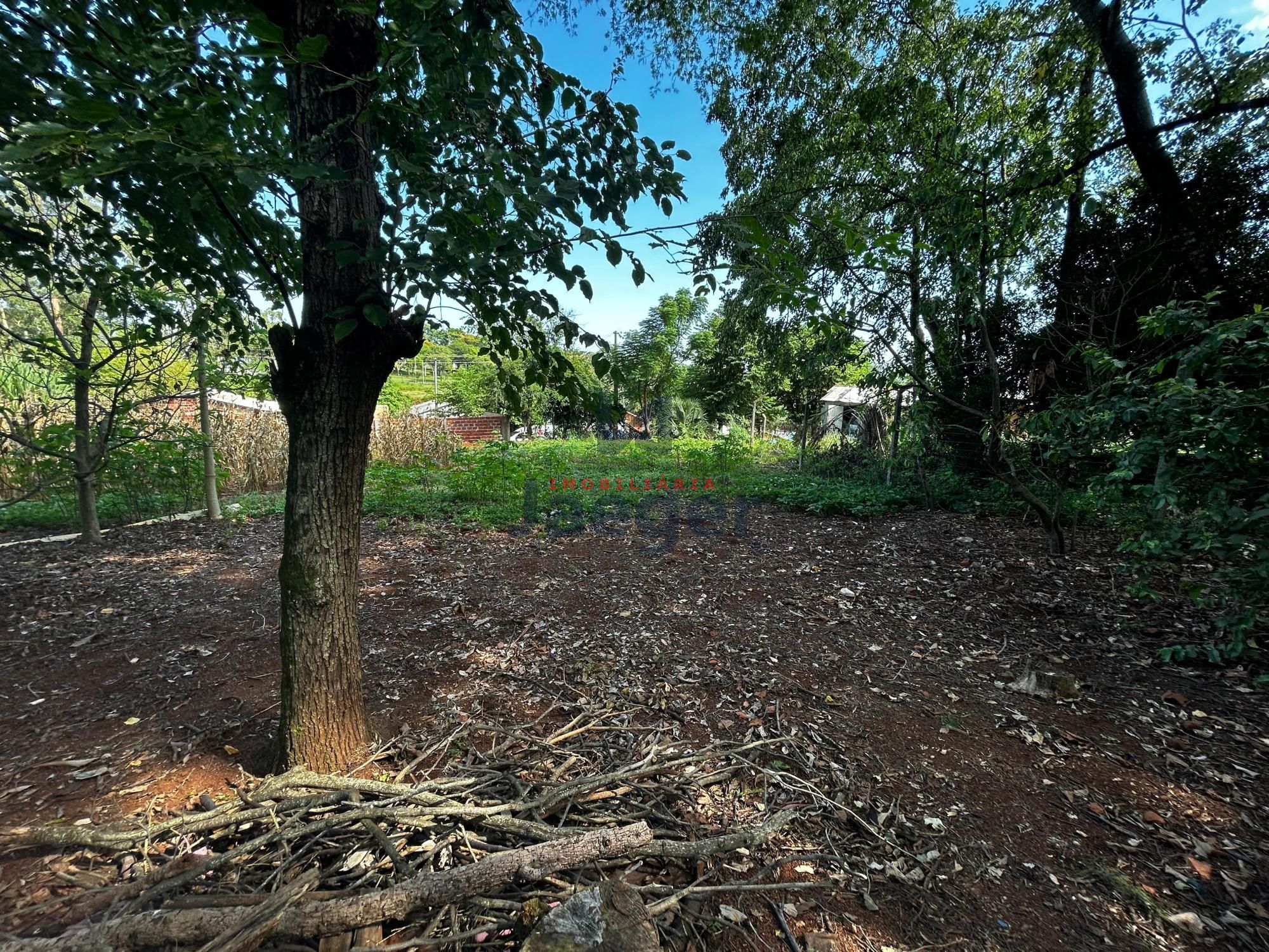 Terreno, 3000 m² - Foto 4
