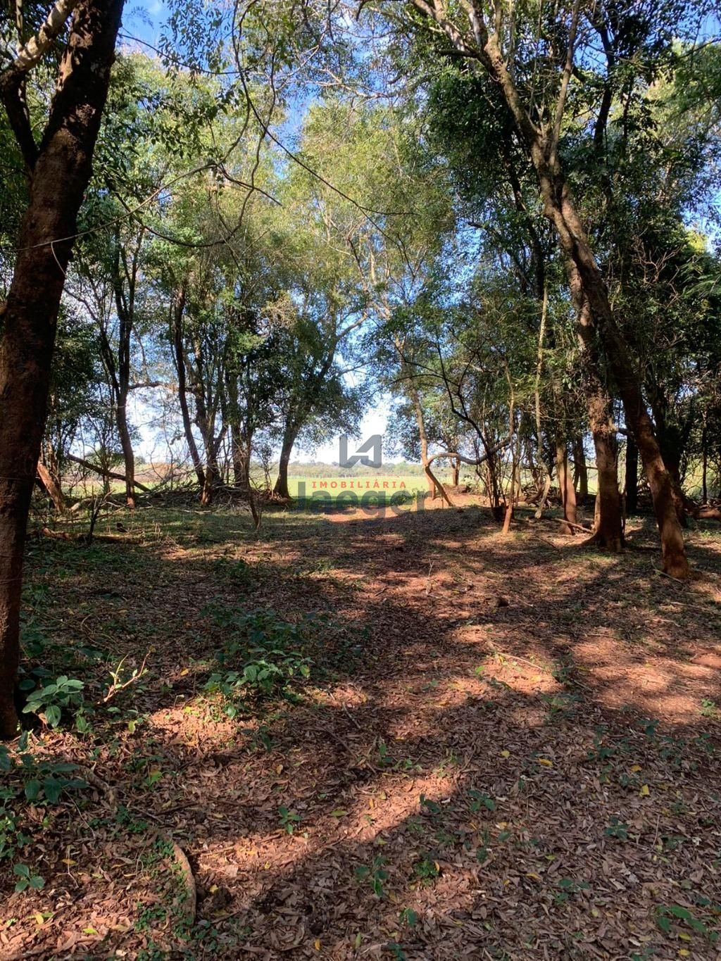 Fazenda à venda com 2 quartos, 89999m² - Foto 12