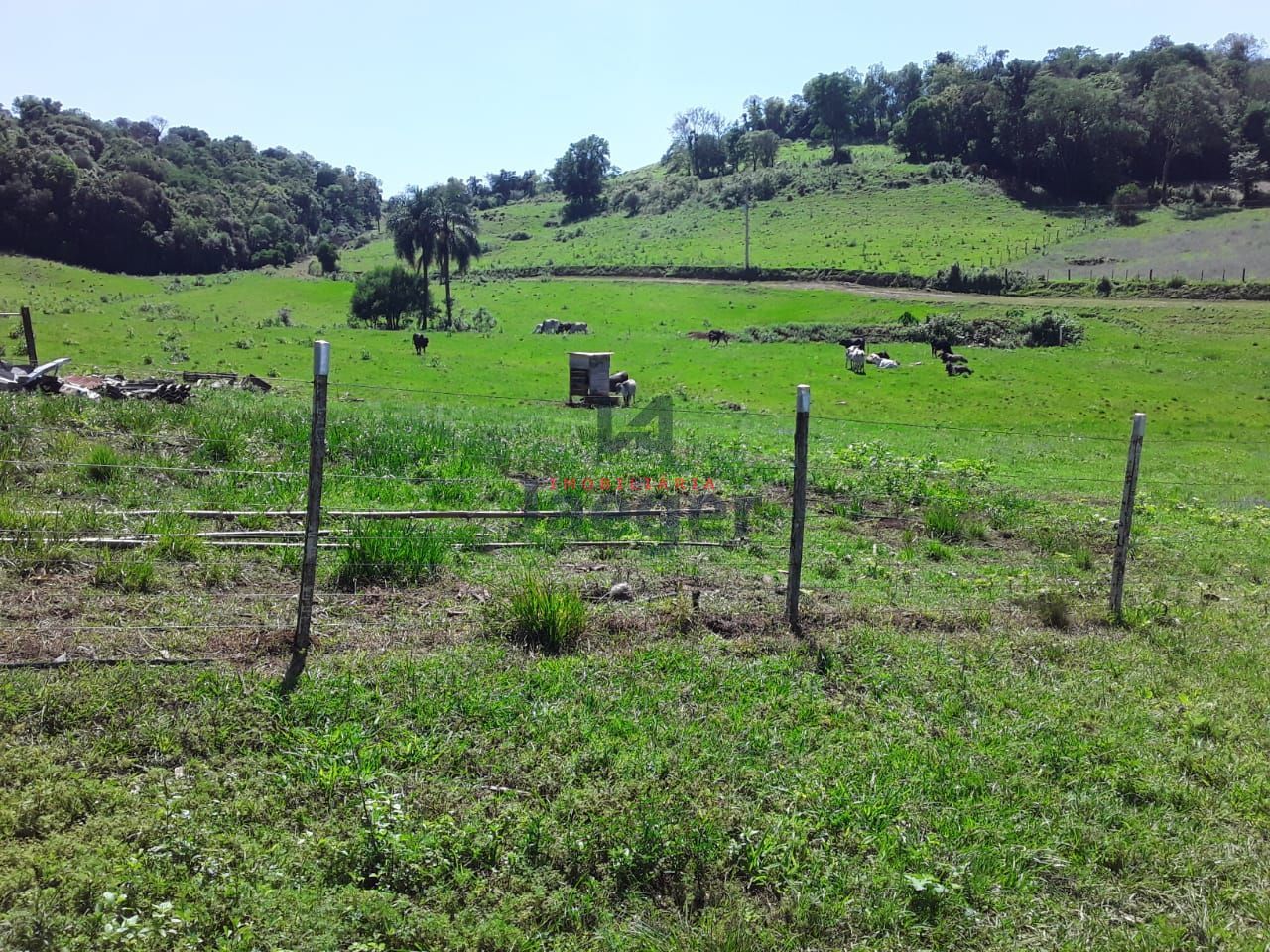 Fazenda à venda com 2 quartos, 180000m² - Foto 2