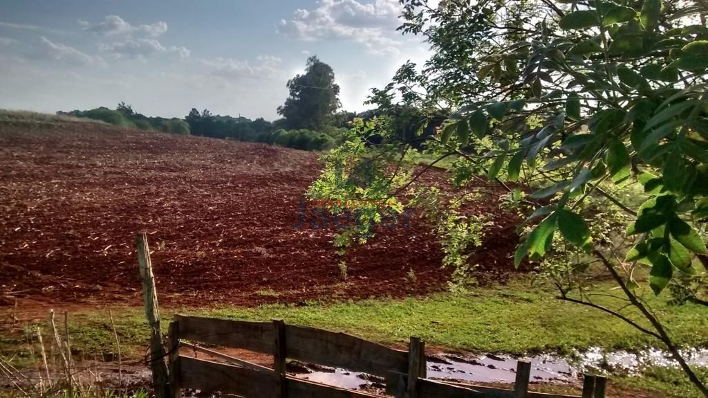 Fazenda à venda com 3 quartos, 10200000m² - Foto 7