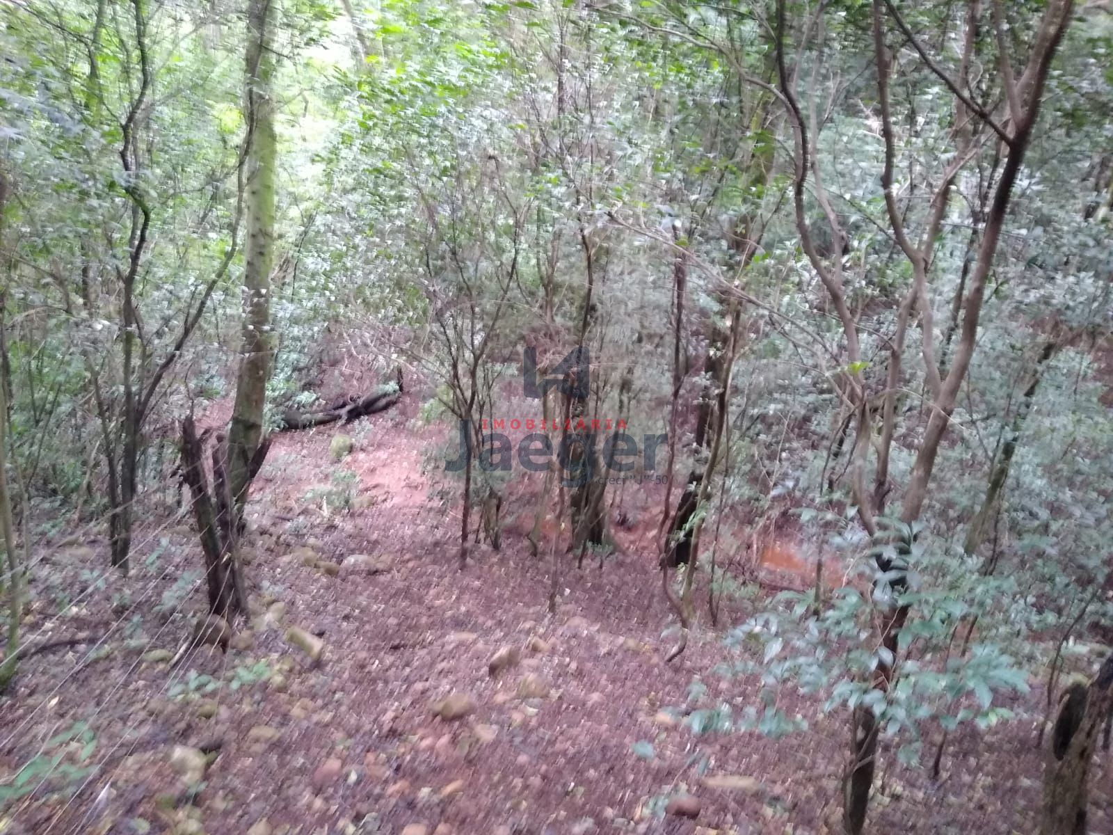 Fazenda à venda com 2 quartos, 150000m² - Foto 10