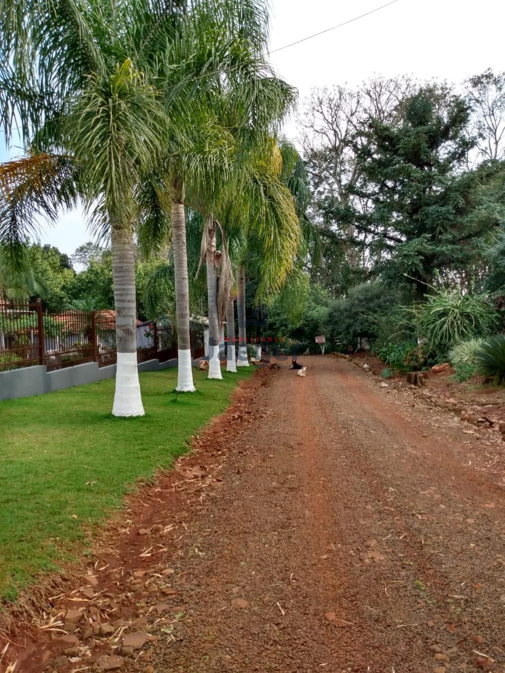 Fazenda à venda com 3 quartos, 140m² - Foto 8