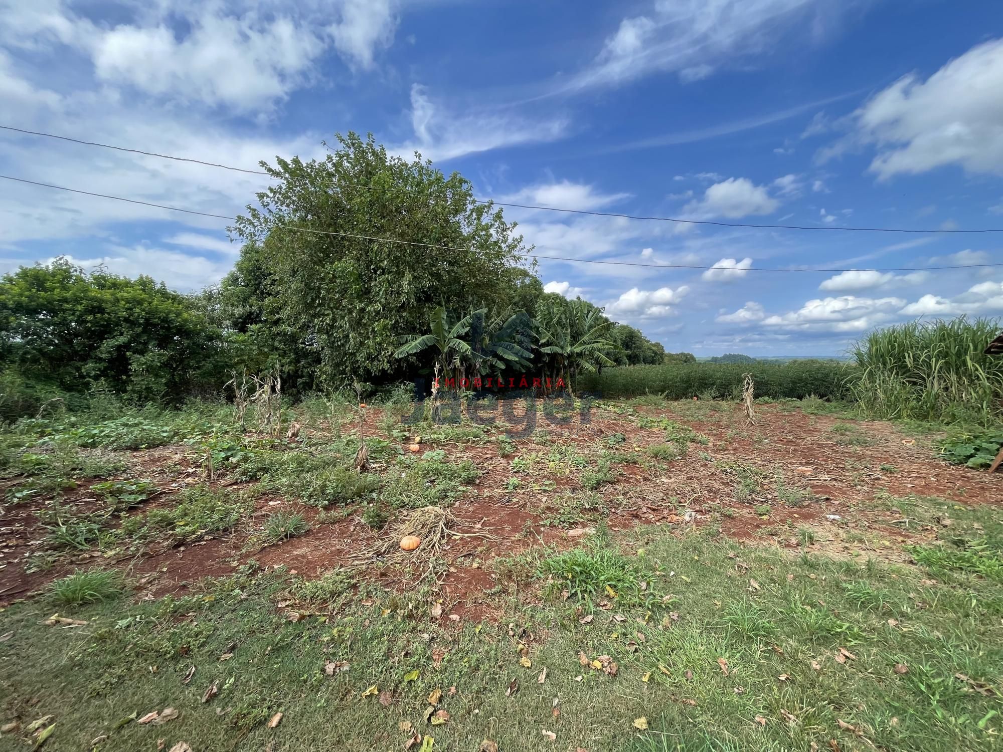 Chácara, 3 quartos, 4 hectares - Foto 15