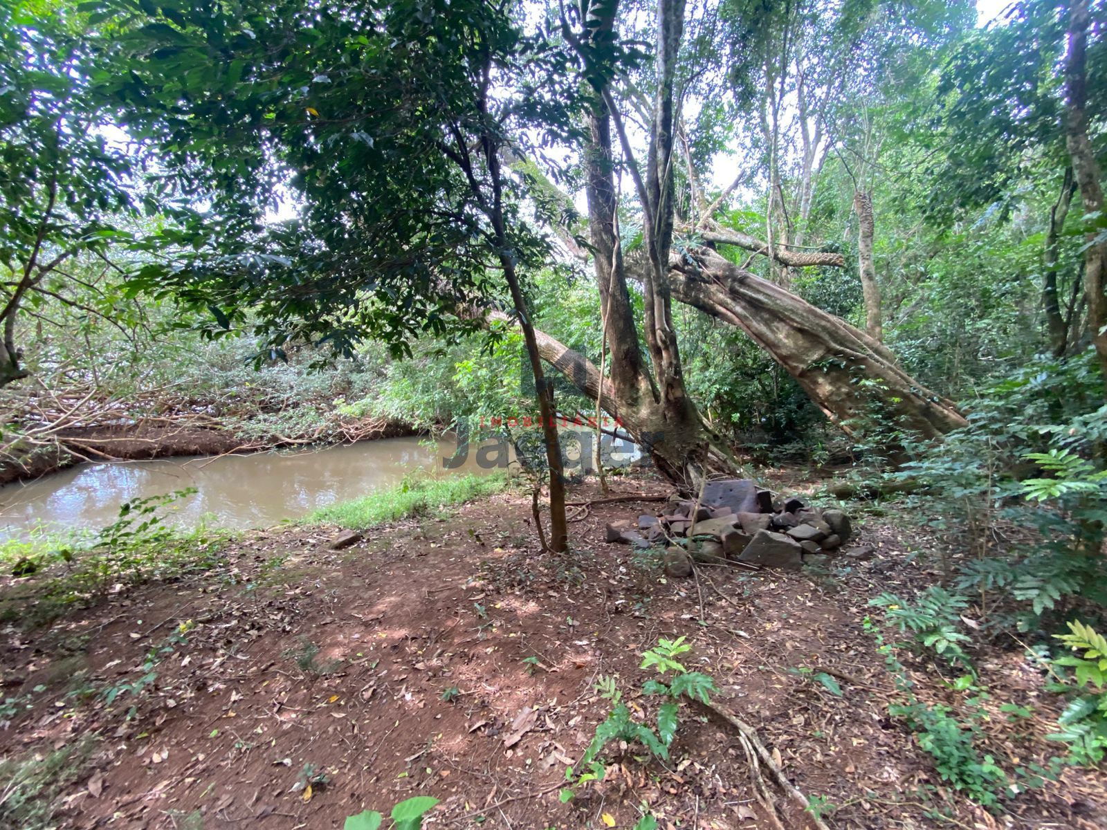 Chácara, 3 hectares - Foto 31