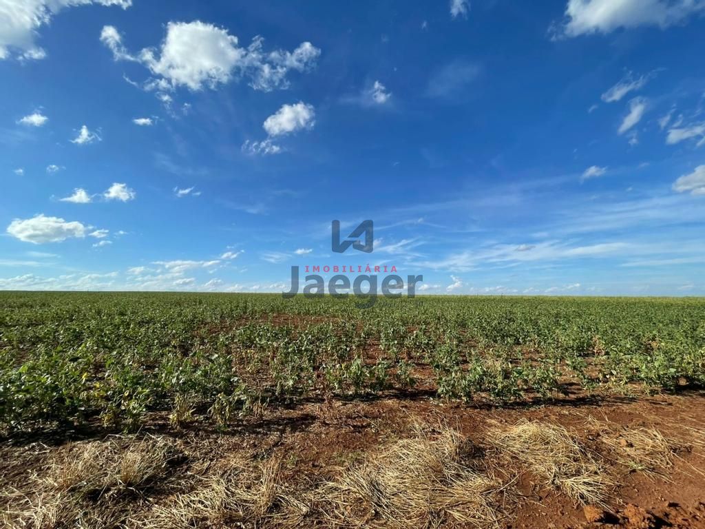 Fazenda à venda com 3 quartos, 192m² - Foto 28