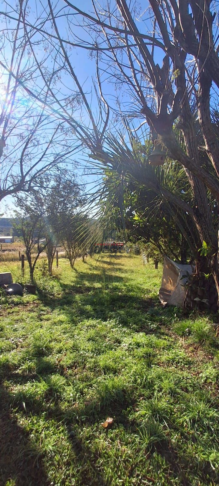 Fazenda à venda com 3 quartos, 2m² - Foto 25