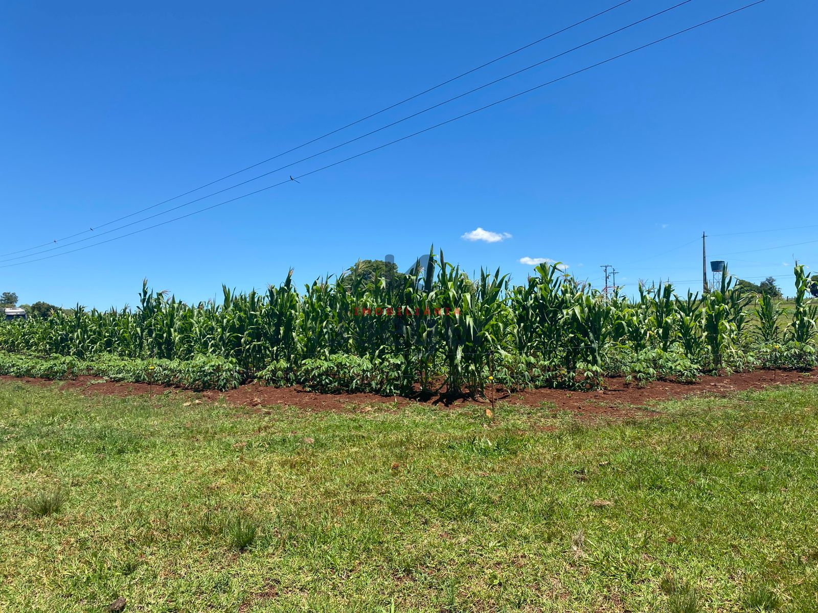 Chácara, 4 hectares - Foto 28