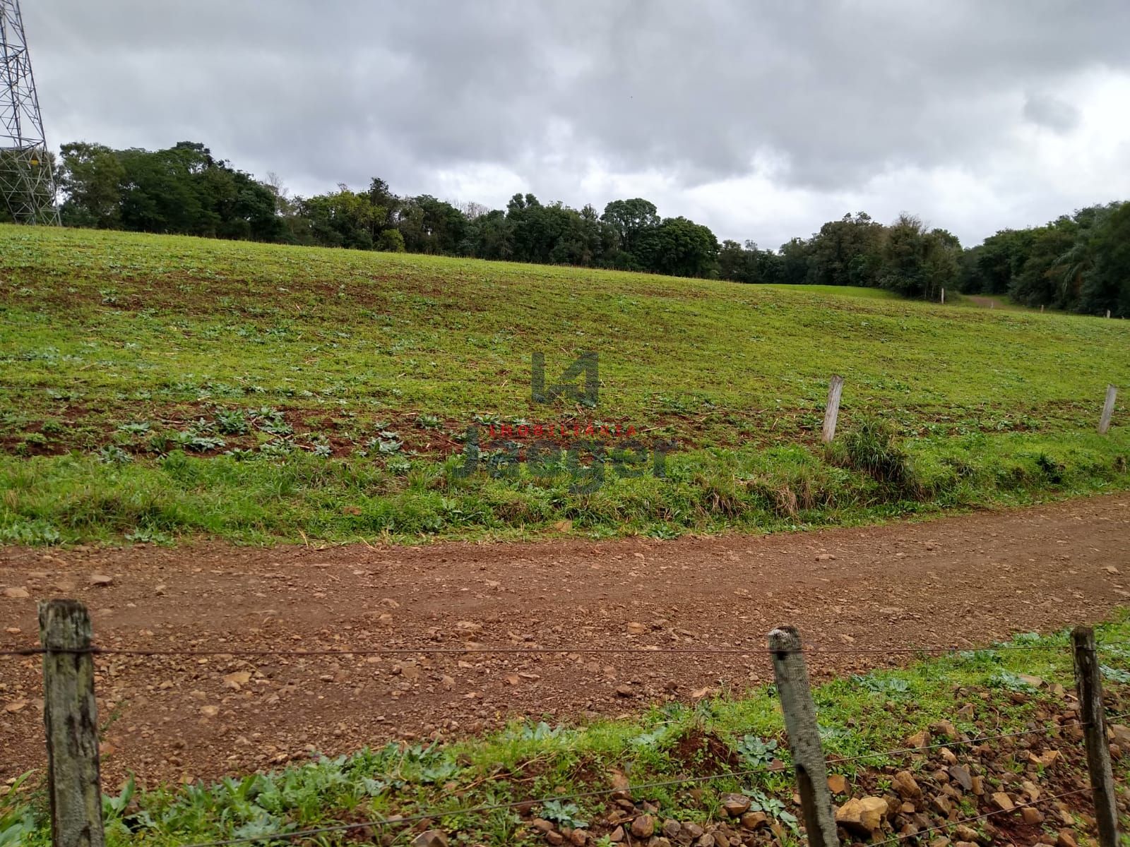 Fazenda à venda com 2 quartos, 150000m² - Foto 13