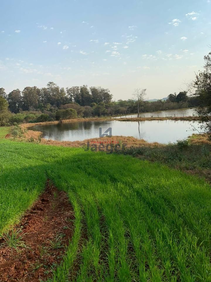 Fazenda à venda com 3 quartos, 140m² - Foto 32