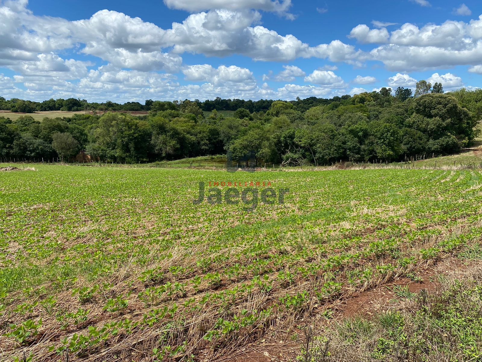 Loteamento e Condomínio à venda, 210000m² - Foto 30