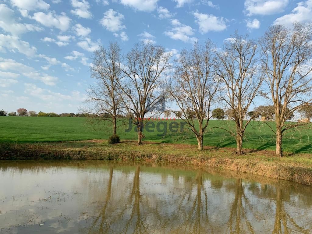 Fazenda à venda com 3 quartos, 140m² - Foto 36