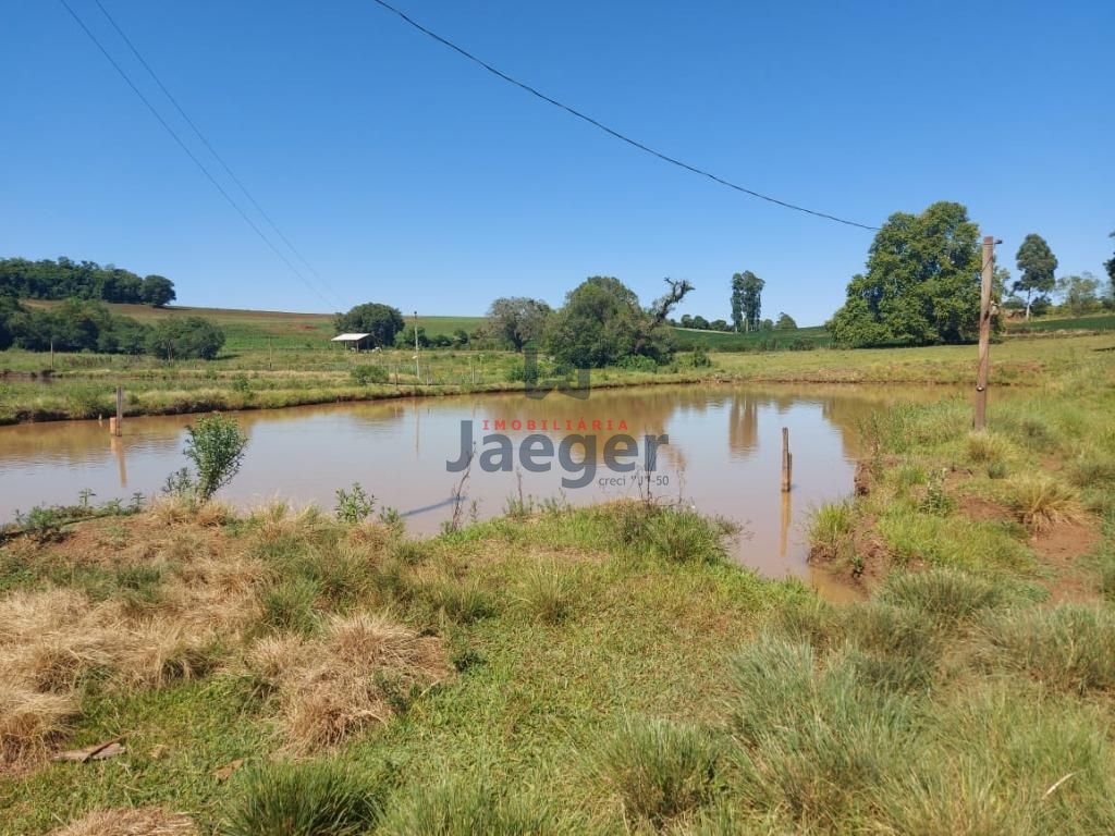 Fazenda à venda com 3 quartos, 79000m² - Foto 22