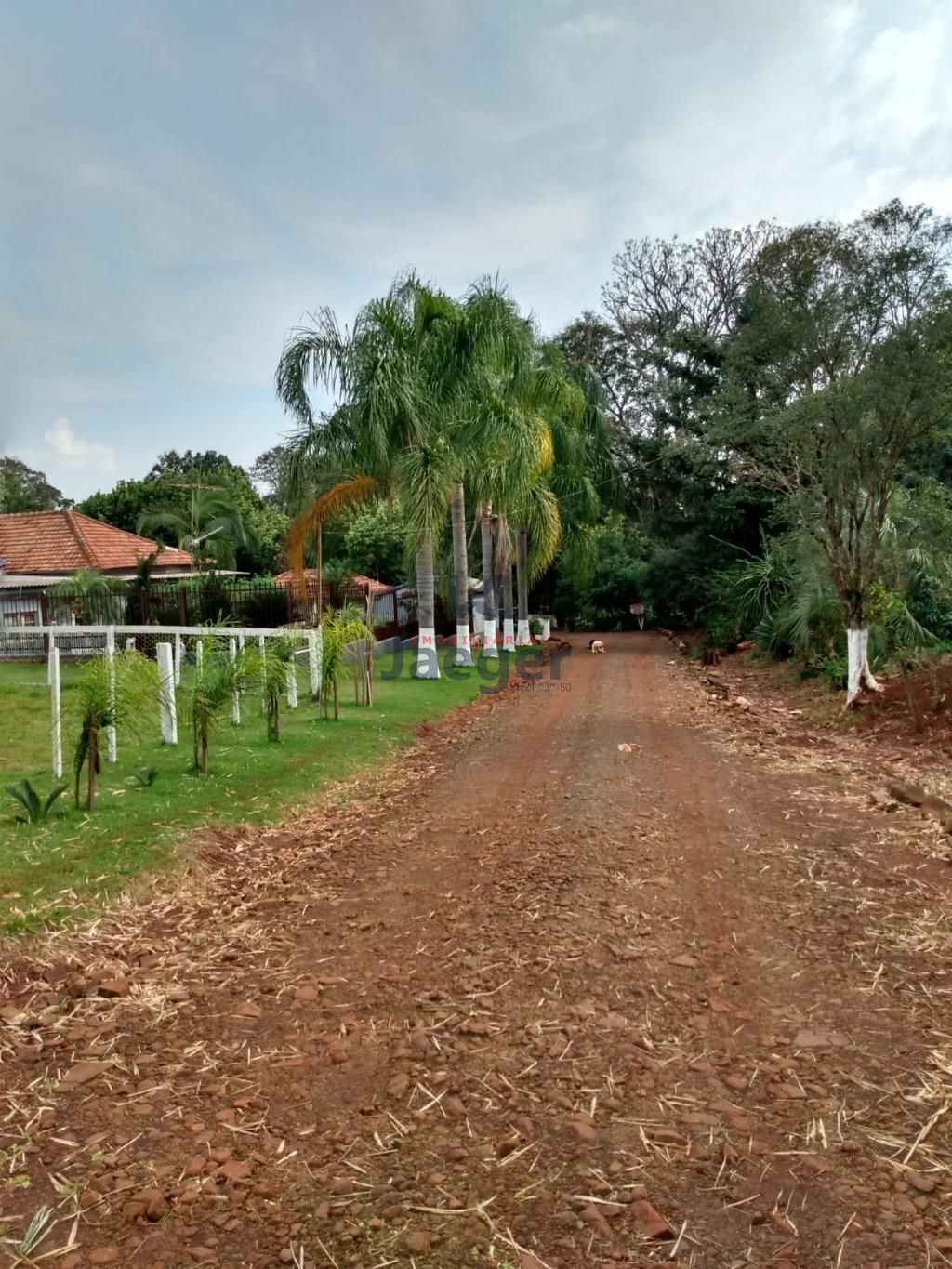 Fazenda à venda com 3 quartos, 140m² - Foto 3