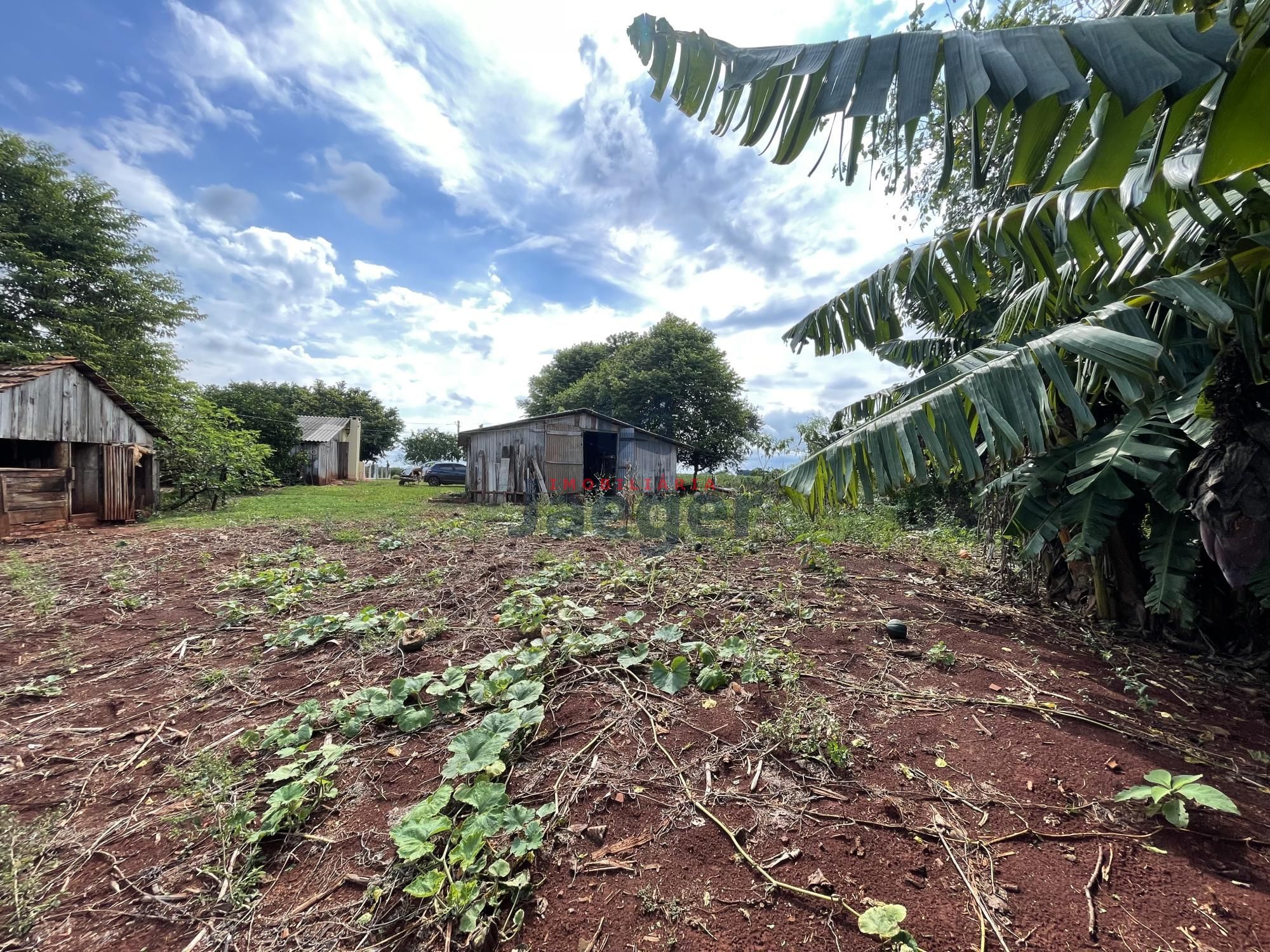 Chácara, 3 quartos, 4 hectares - Foto 10