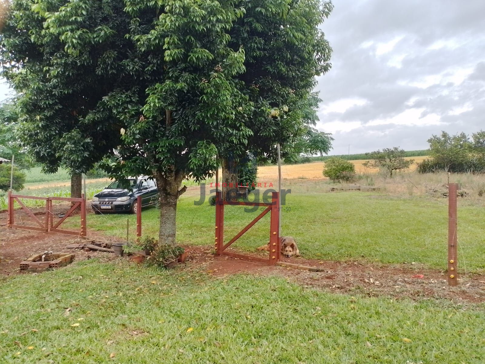 Fazenda à venda com 2 quartos, 125000m² - Foto 8