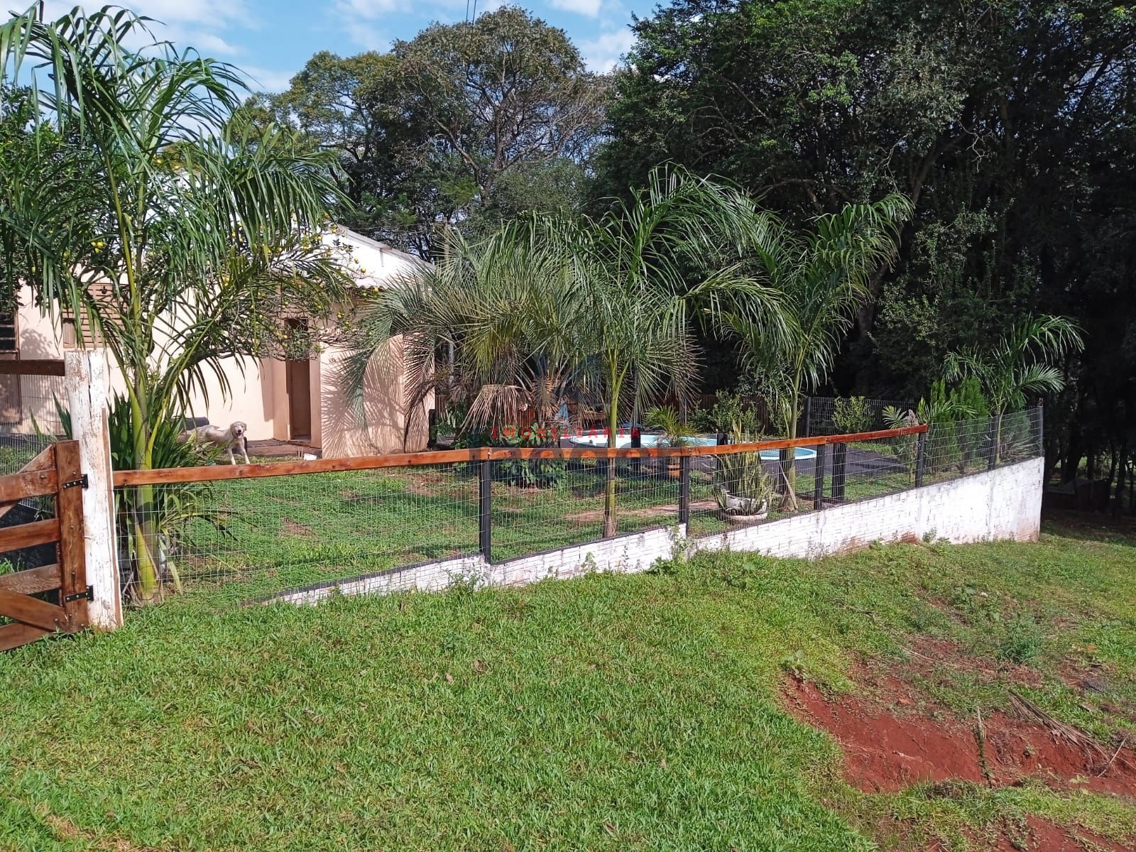 Fazenda à venda com 3 quartos, 15000m² - Foto 14