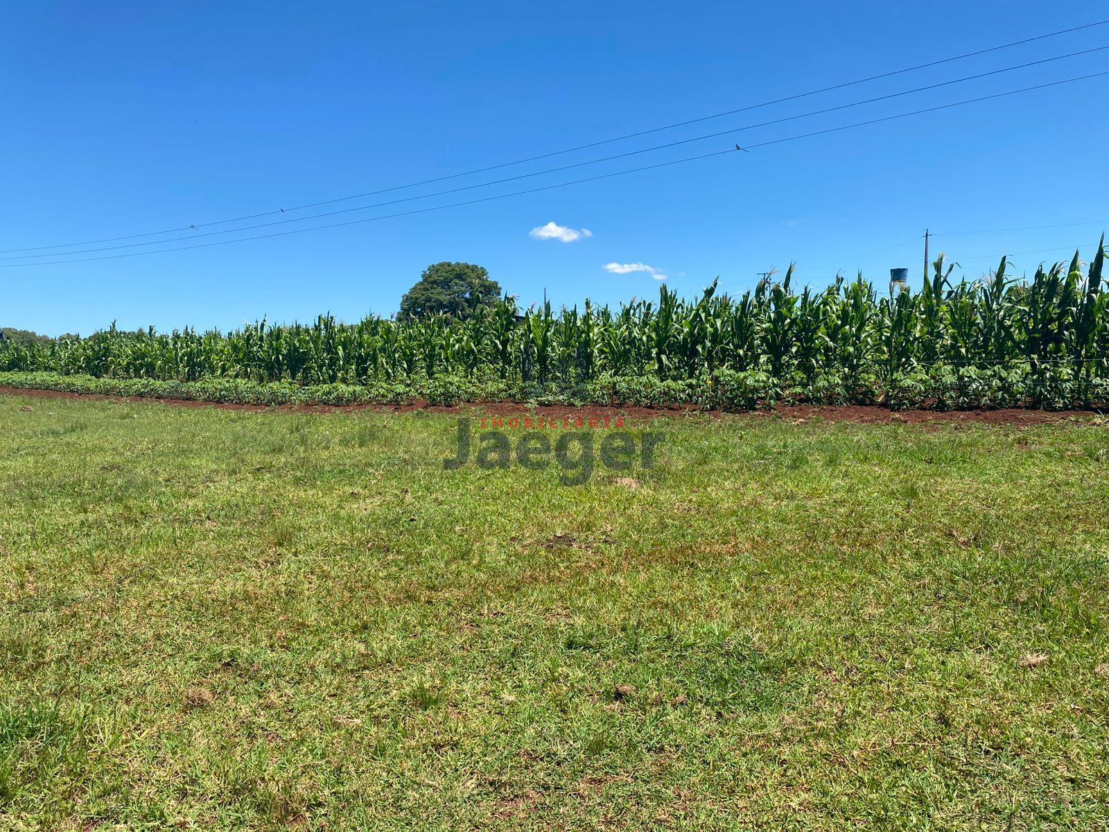 Chácara, 4 hectares - Foto 2