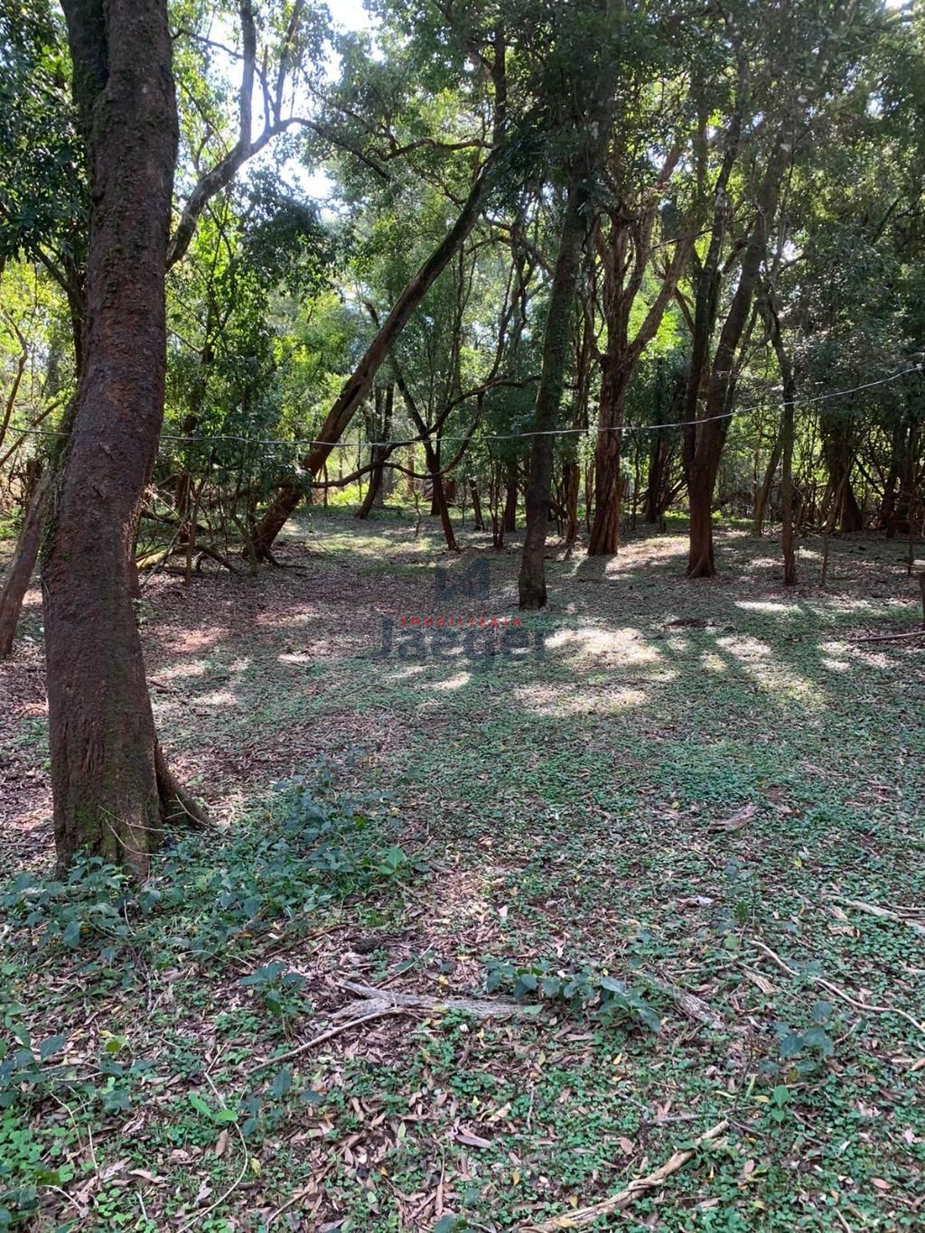 Fazenda à venda com 2 quartos, 89999m² - Foto 6