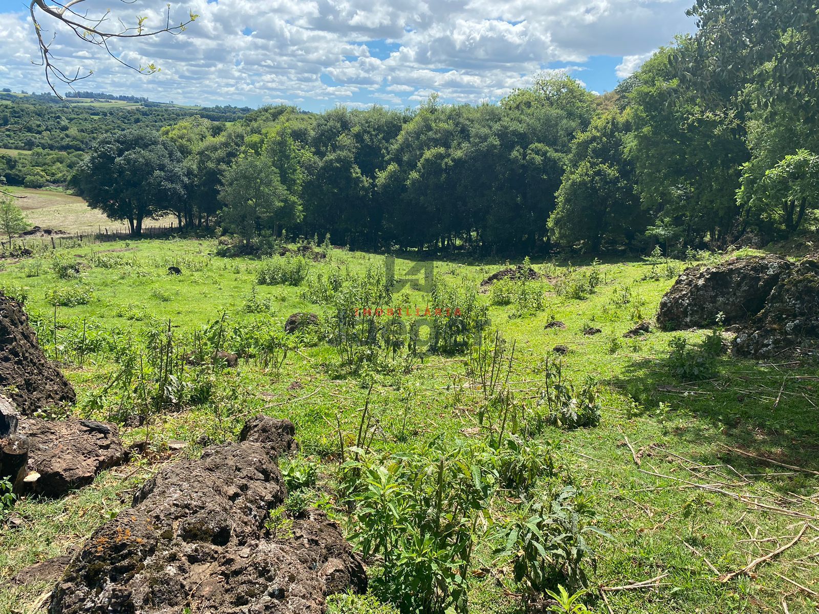 Loteamento e Condomínio à venda, 210000m² - Foto 6