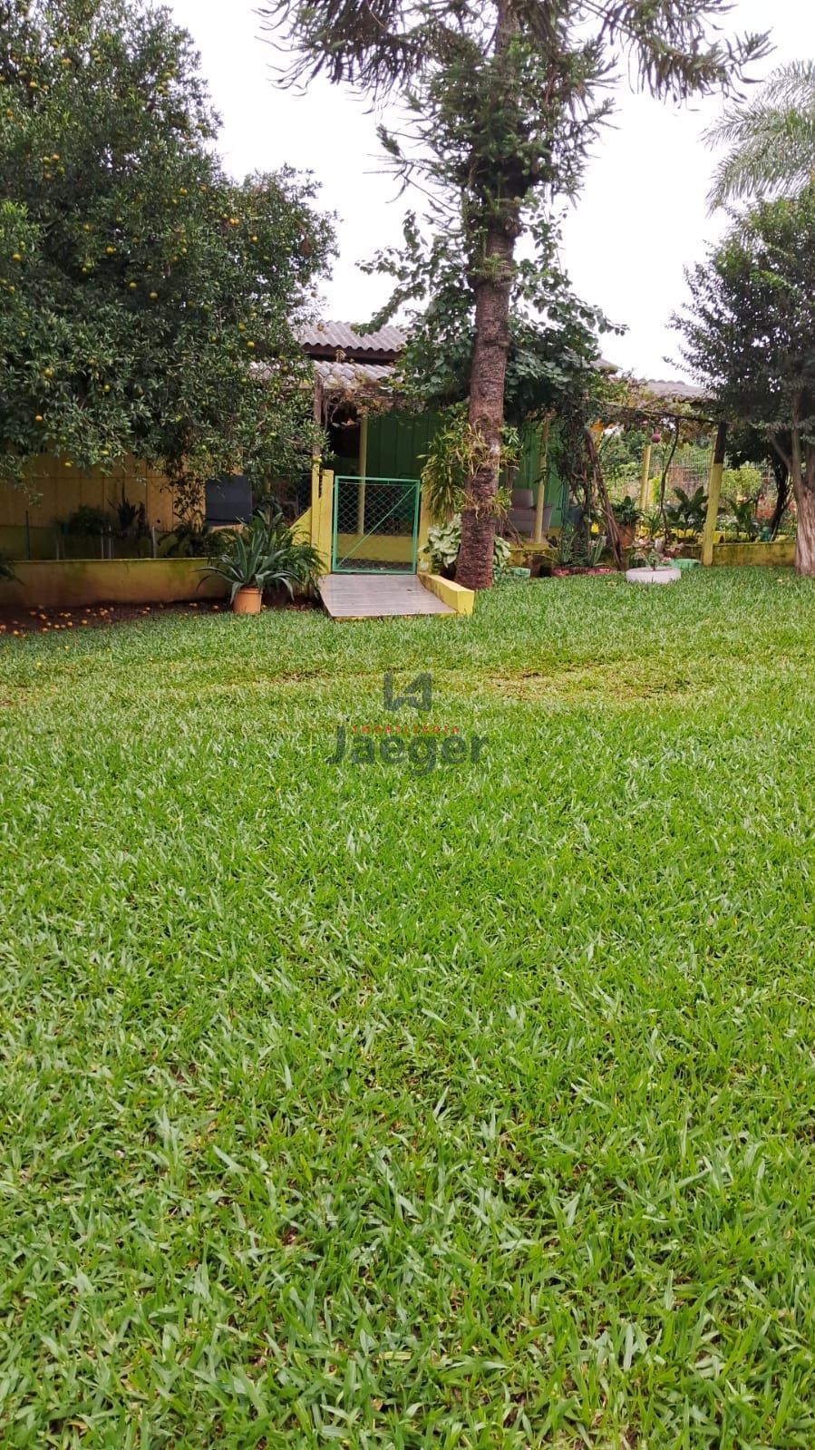 Chácara, 4 hectares - Foto 23