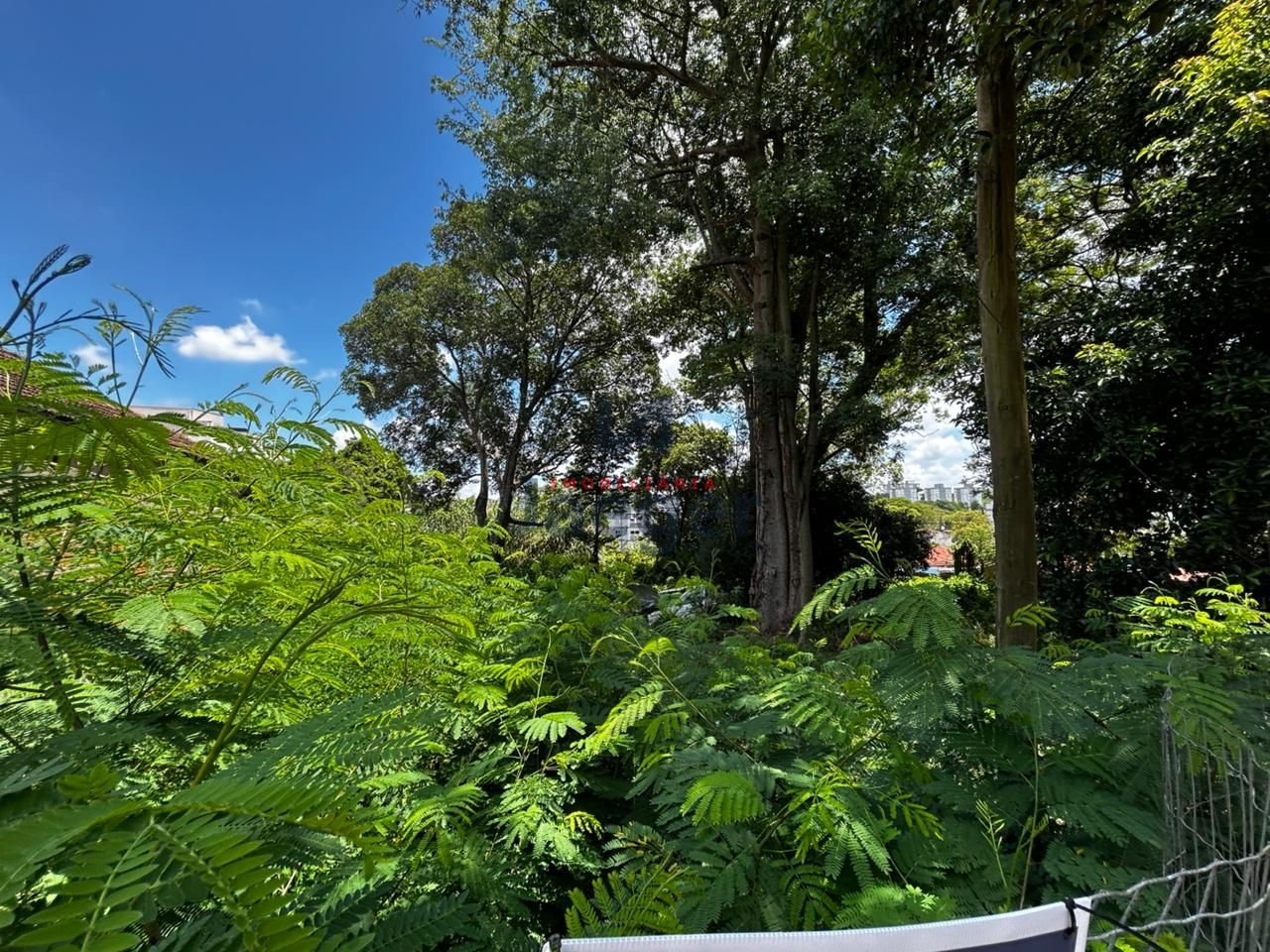 Terreno, 500 m² - Foto 3