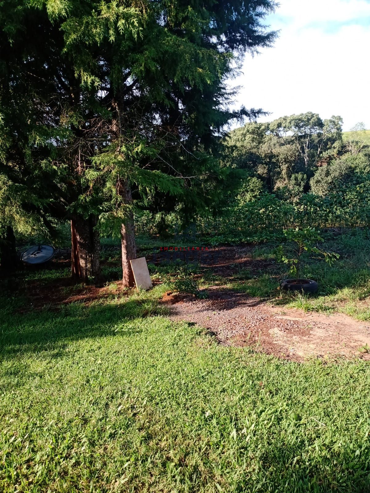 Fazenda à venda com 2 quartos, 100000000m² - Foto 12