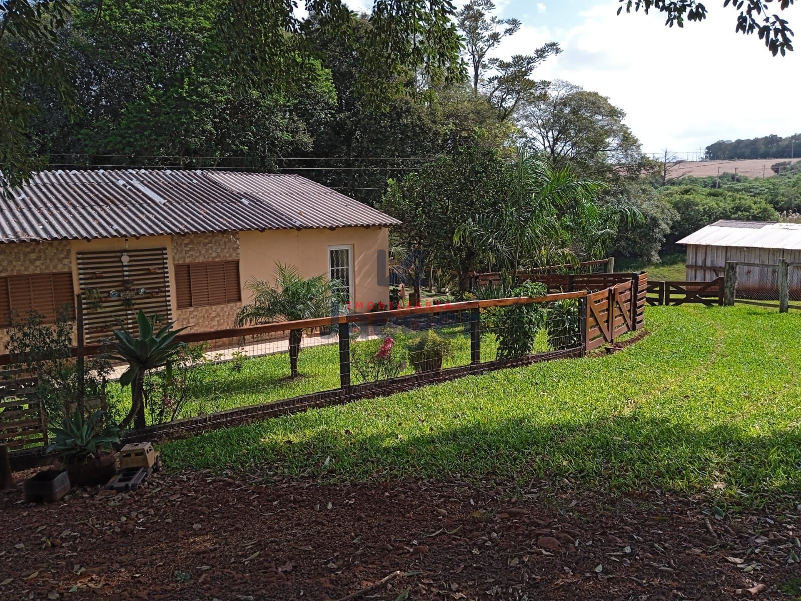 Fazenda à venda com 3 quartos, 15000m² - Foto 3