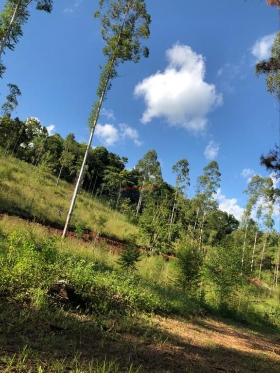 Sítio, 2000 m² - Foto 34