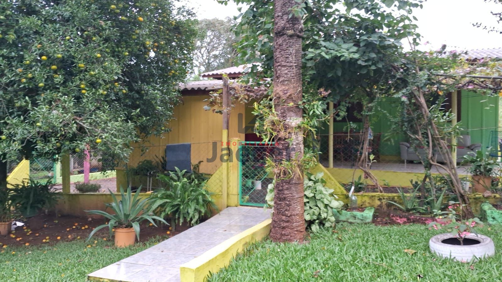 Chácara, 4 hectares - Foto 7