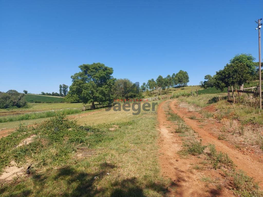 Fazenda à venda com 3 quartos, 79000m² - Foto 20