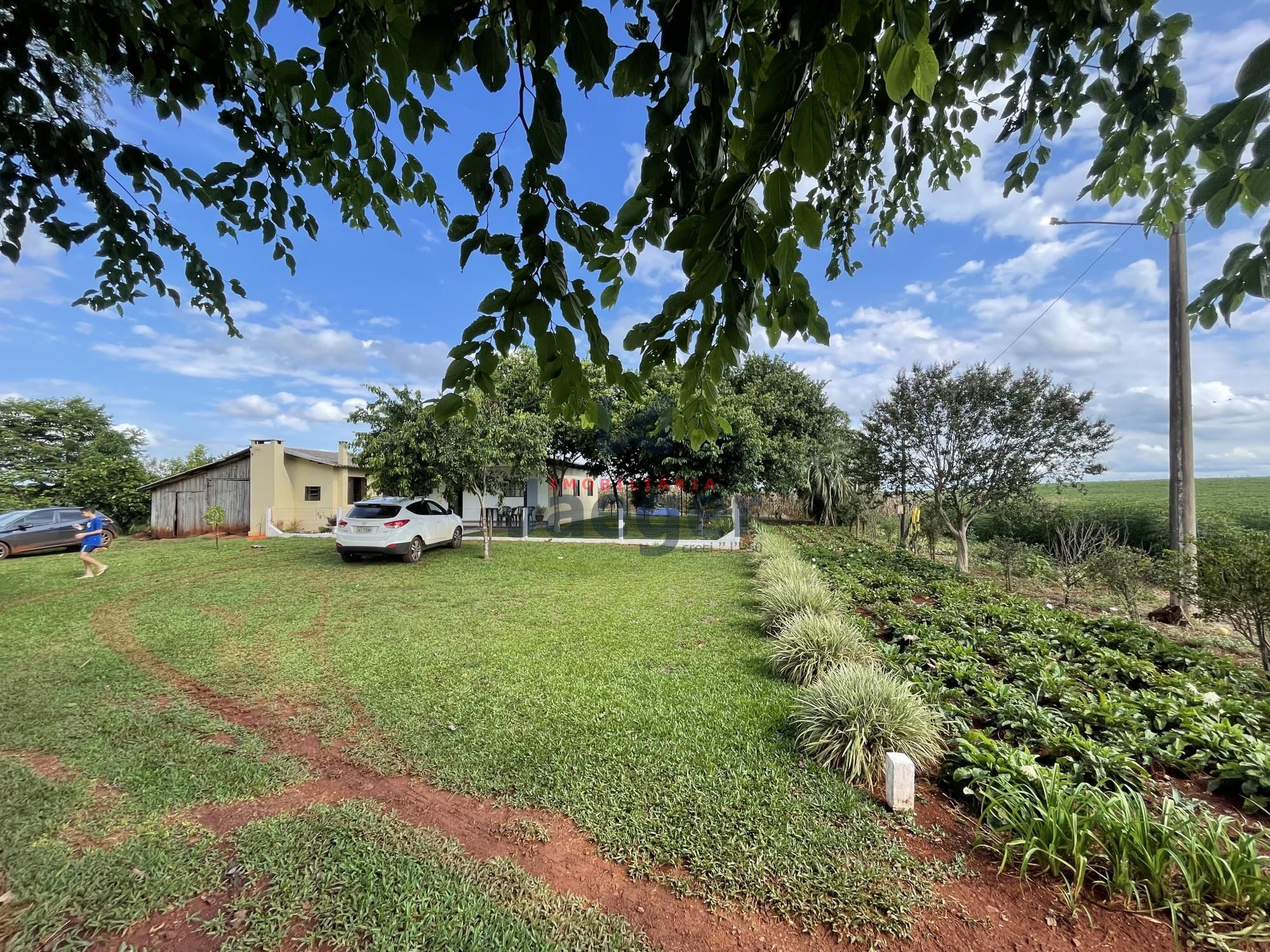 Chácara, 3 quartos, 4 hectares - Foto 2
