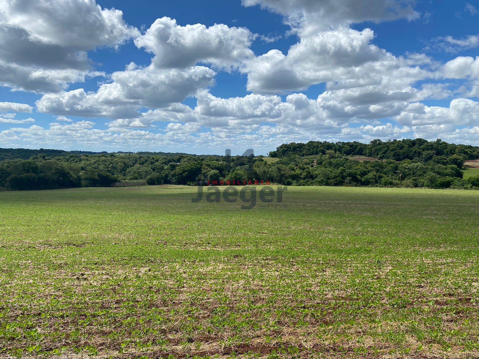 Loteamento e Condomínio à venda, 210000m² - Foto 27