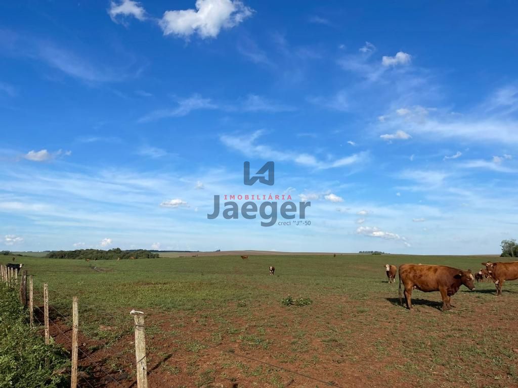 Fazenda à venda com 3 quartos, 192m² - Foto 13