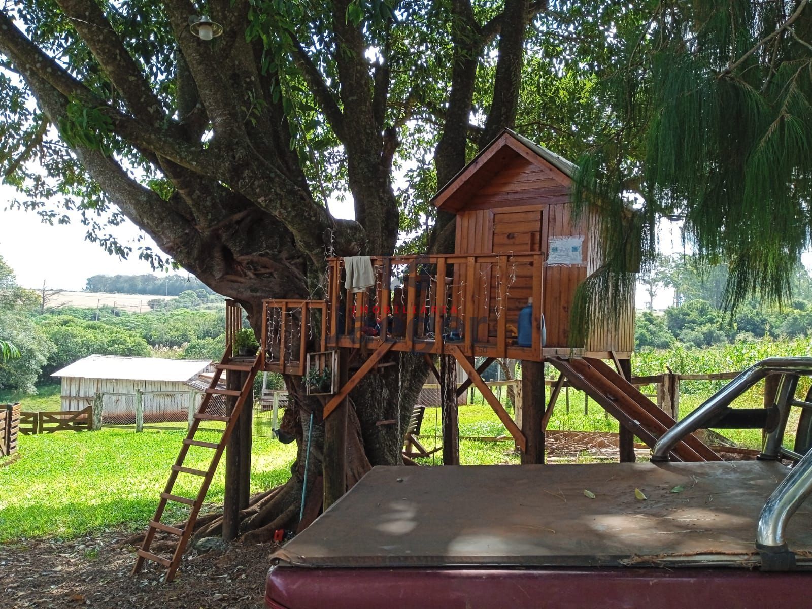 Fazenda à venda com 3 quartos, 15000m² - Foto 6