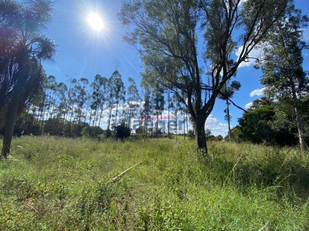 Sítio, 2000 m² - Foto 18