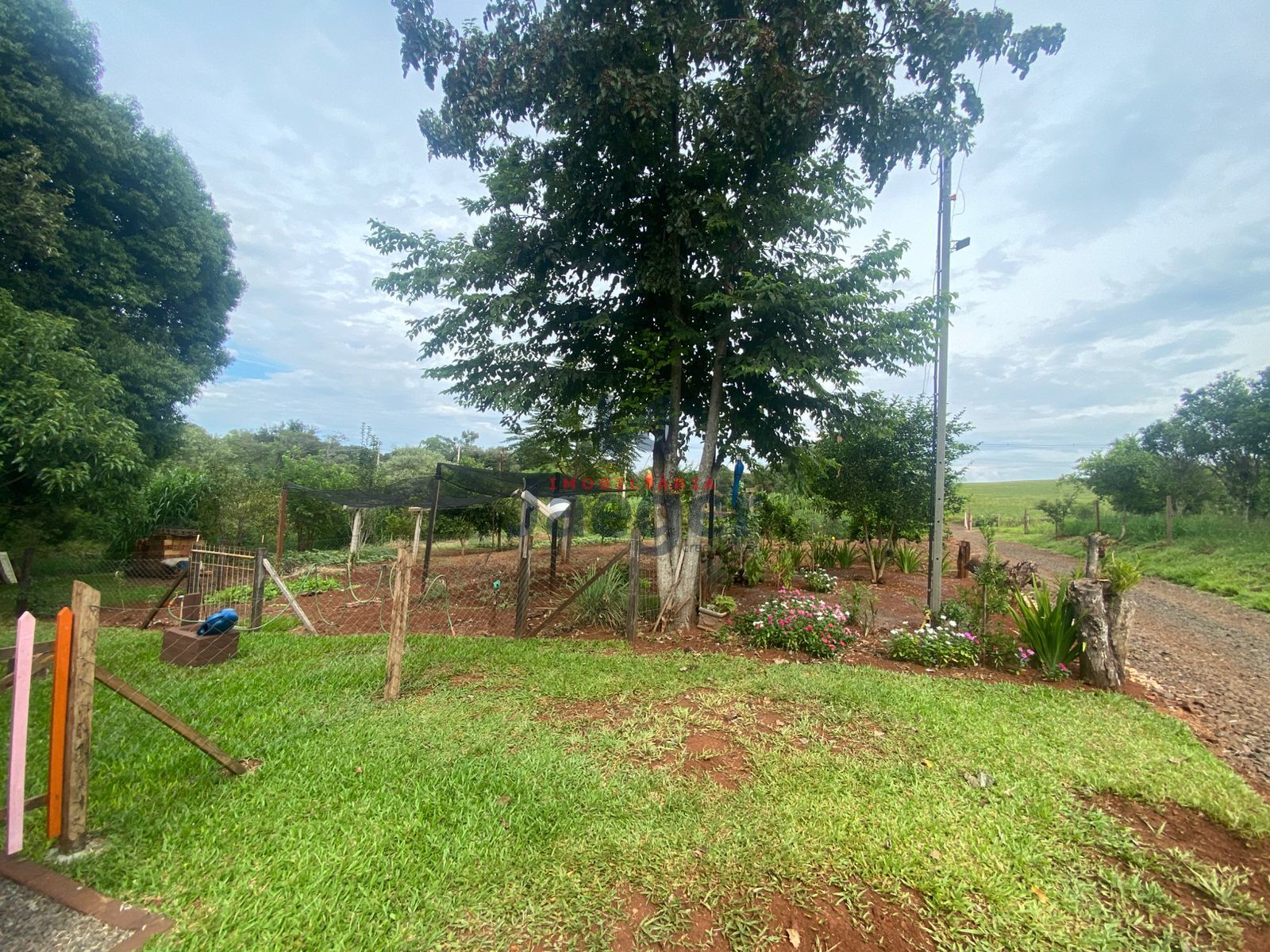 Chácara, 3 hectares - Foto 22