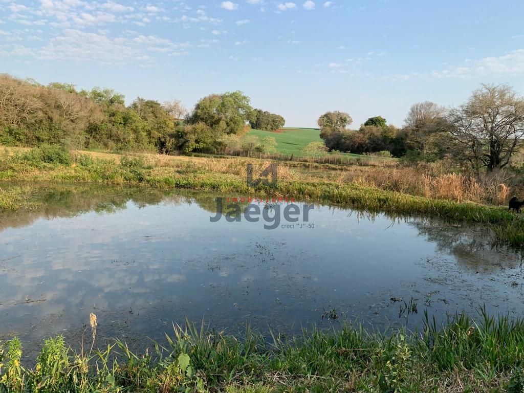 Fazenda à venda com 3 quartos, 140m² - Foto 37