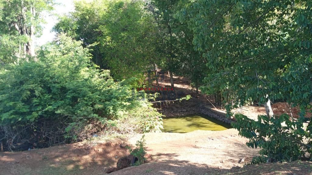 Chácara à venda com 2 quartos, 18000m² - Foto 7