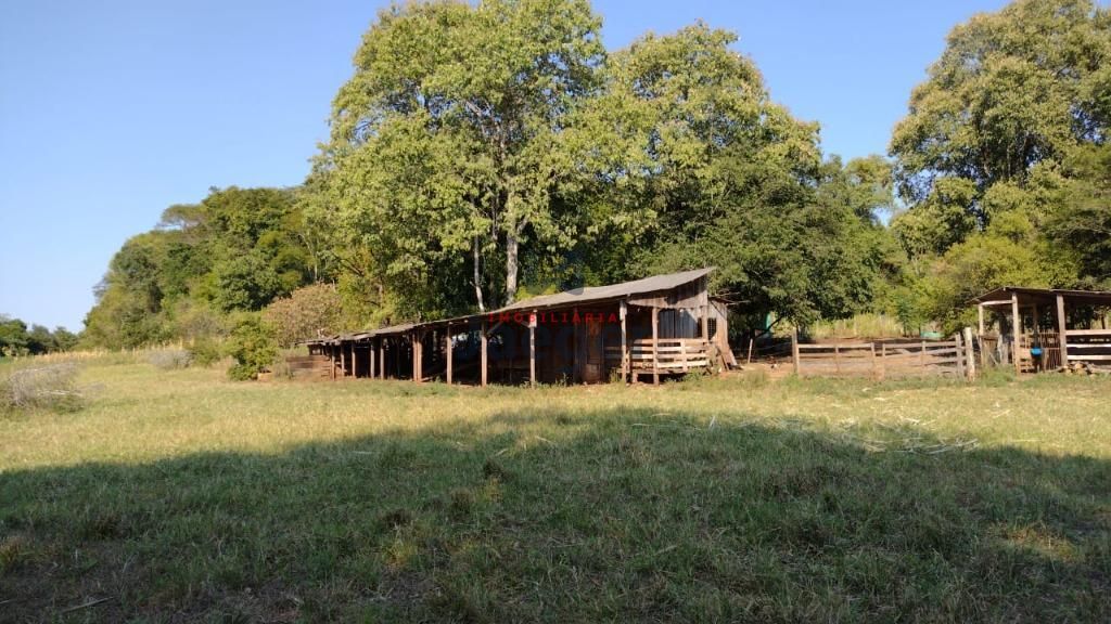 Fazenda à venda com 2 quartos, 22000m² - Foto 7