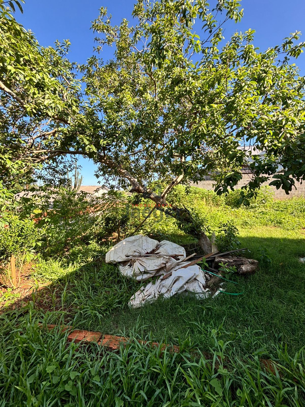 Terreno, 432 m² - Foto 8