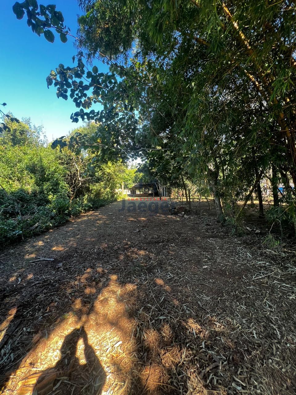 Sítio, 1250 m² - Foto 8