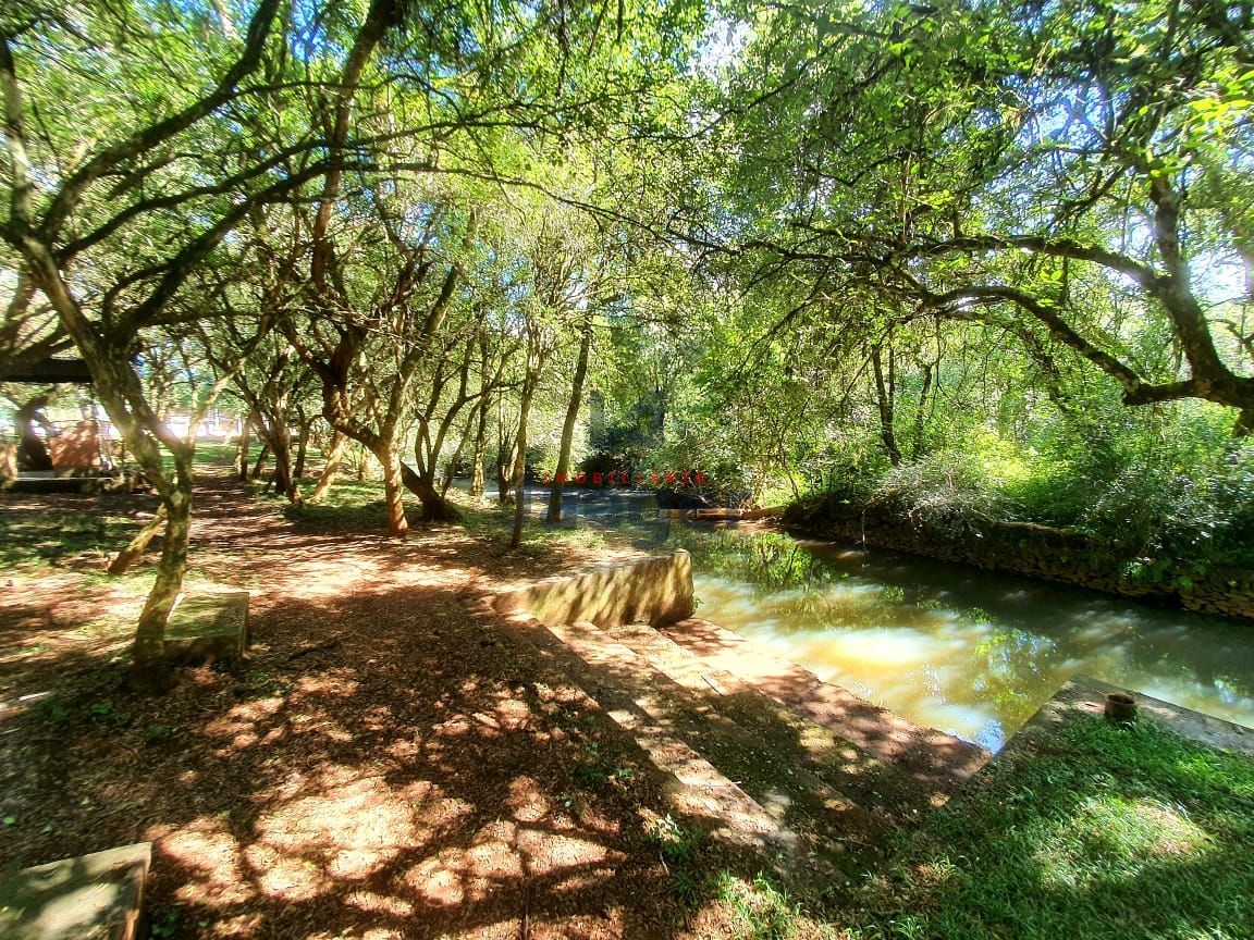 Fazenda à venda - Foto 33