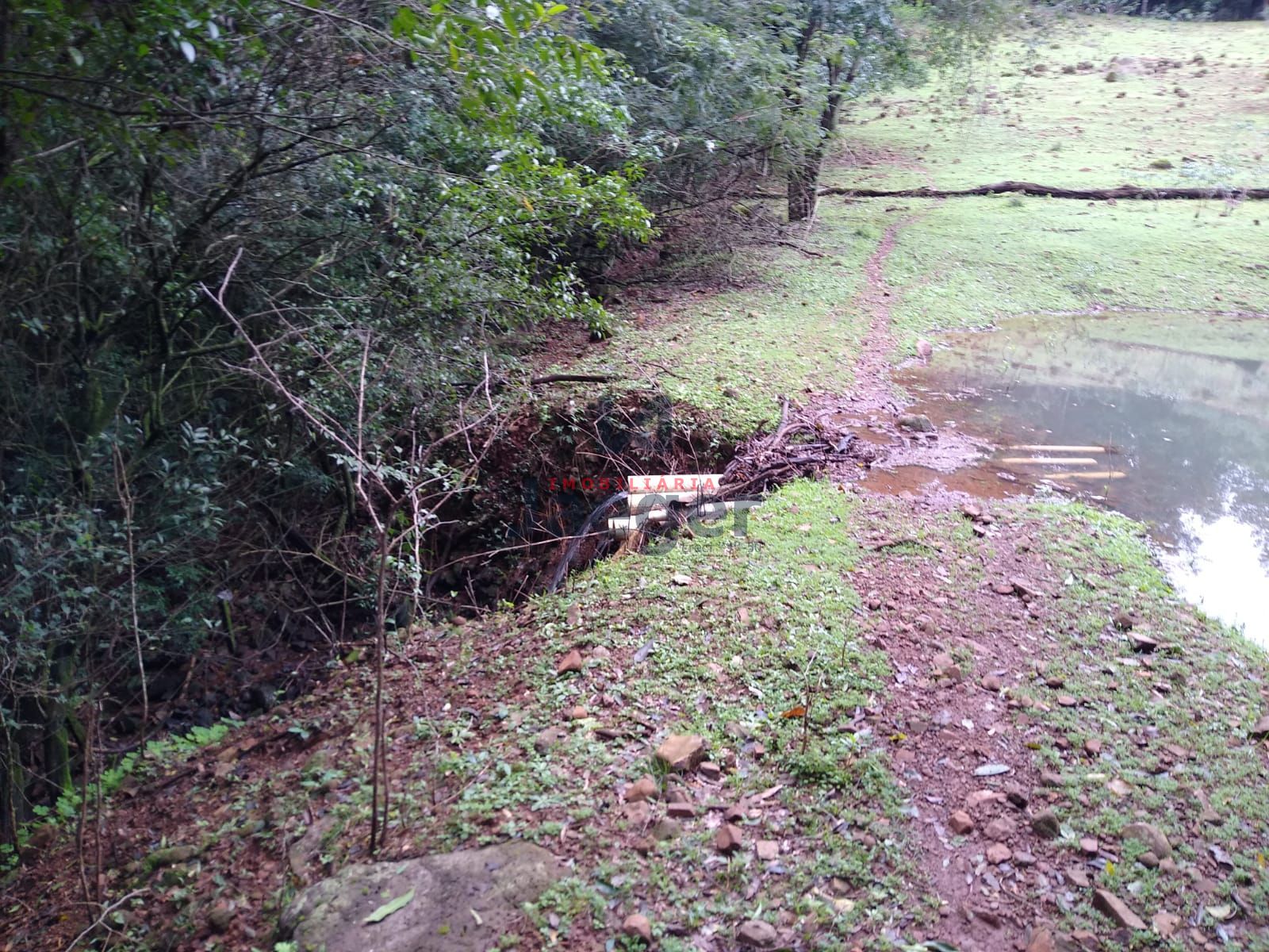 Fazenda à venda com 2 quartos, 150000m² - Foto 9