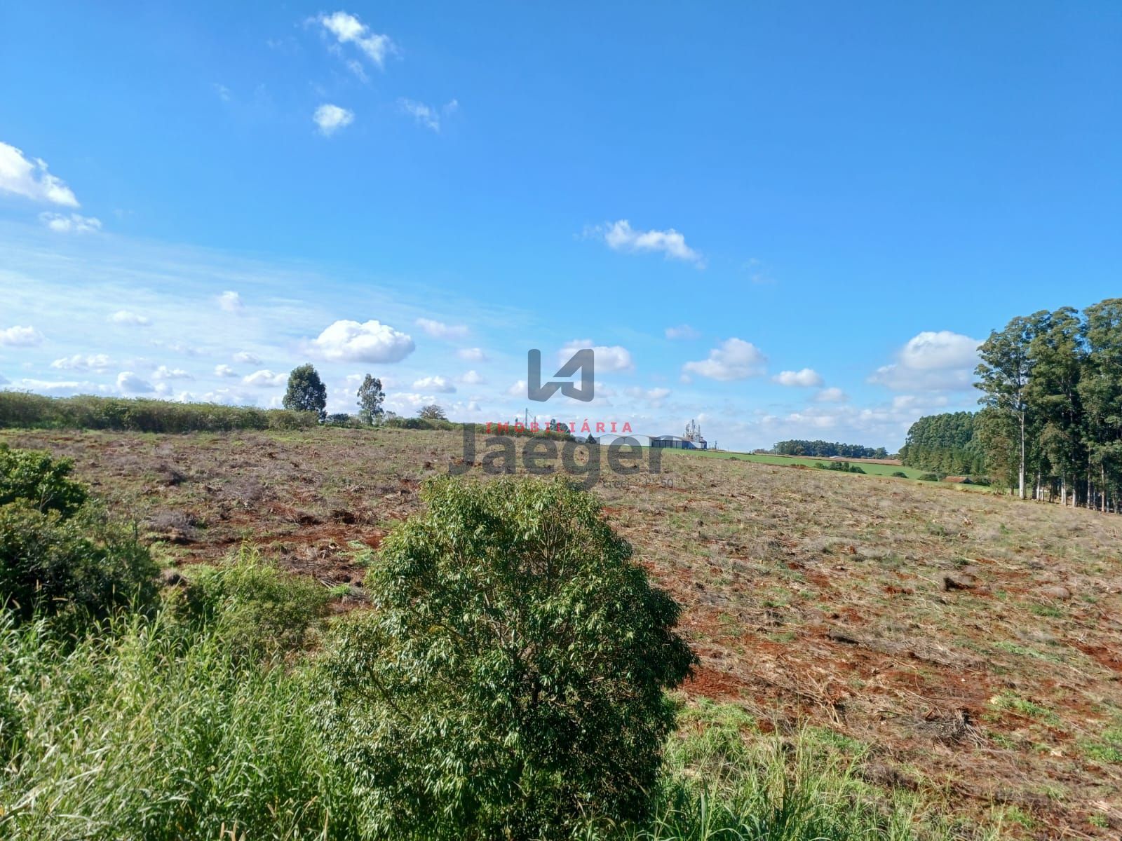 Chácara, 4 hectares - Foto 1
