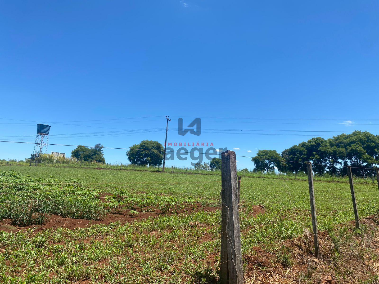 Chácara, 4 hectares - Foto 26