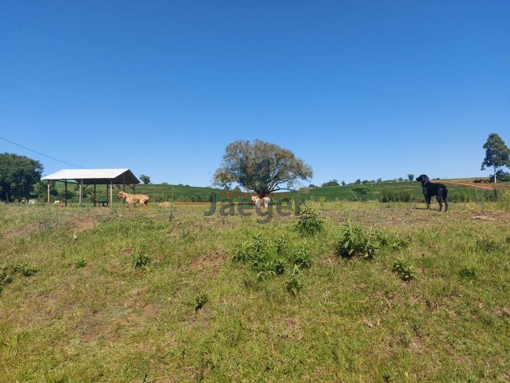 Fazenda à venda com 3 quartos, 79000m² - Foto 2