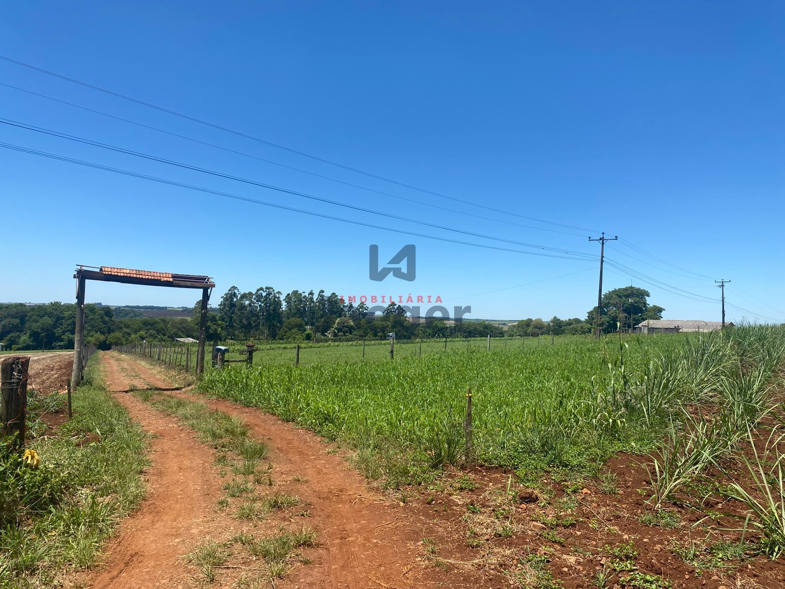 Chácara, 4 hectares - Foto 27