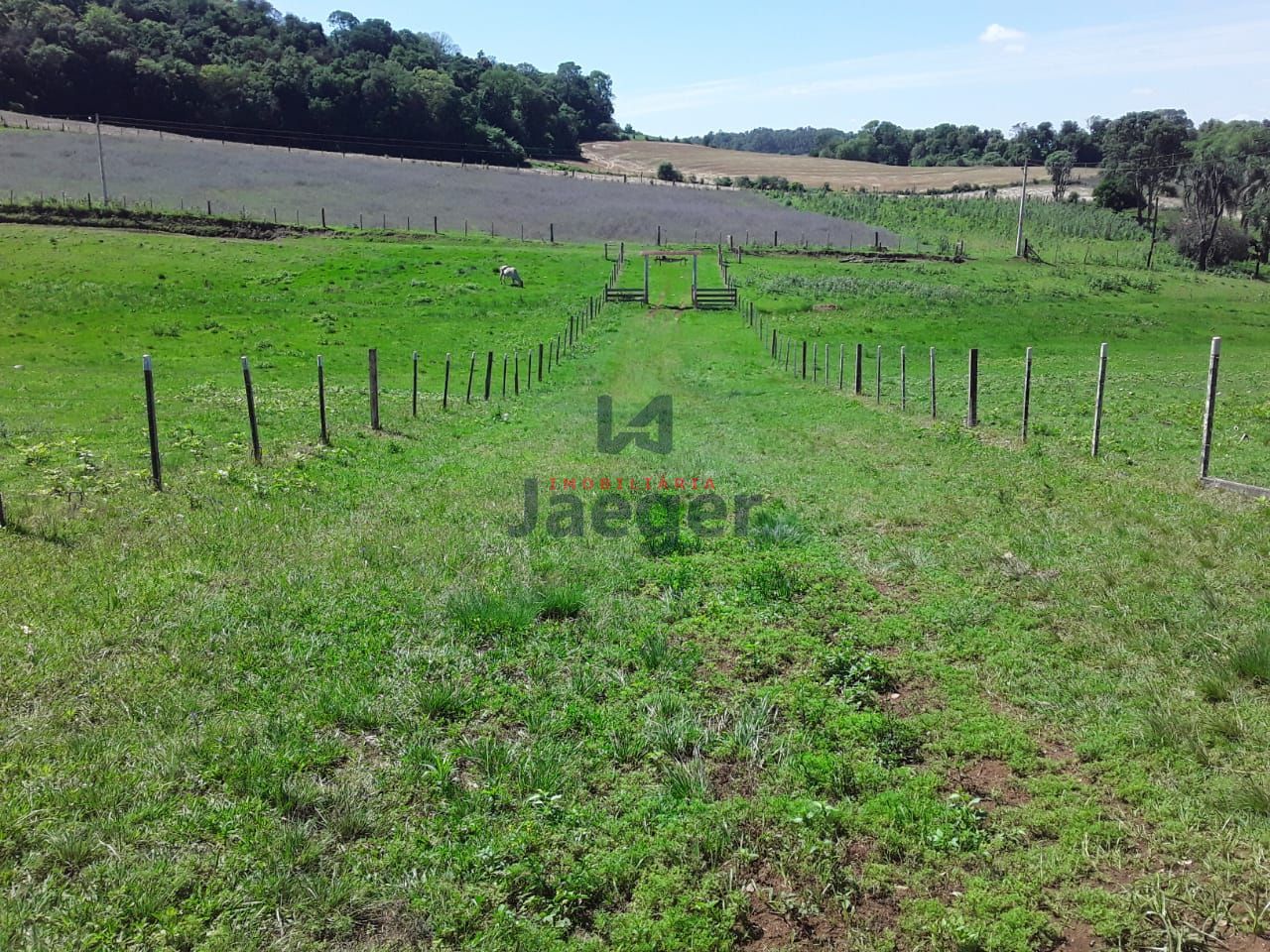 Fazenda à venda com 2 quartos, 180000m² - Foto 1