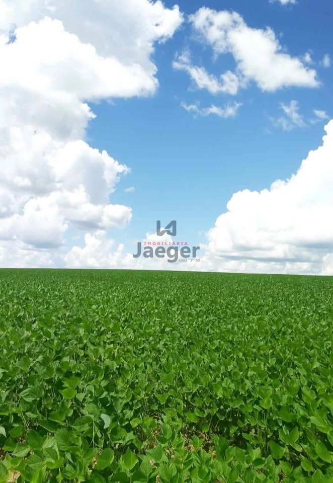 Fazenda, 54 hectares - Foto 6