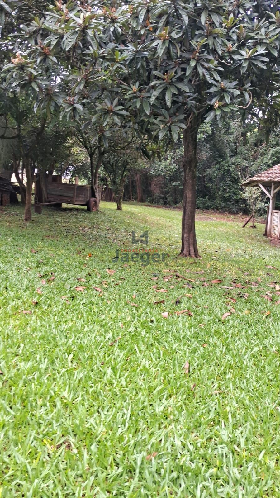 Chácara, 4 hectares - Foto 27